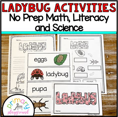 Image result for Ladybug Science Activities