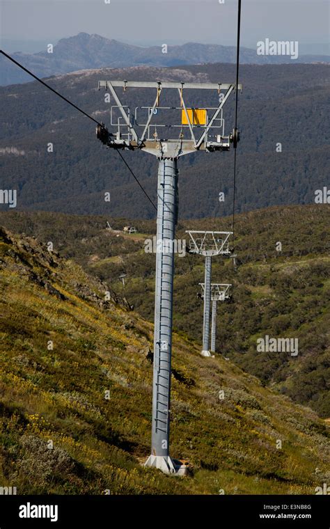 Image result for Monty Python Gondolas