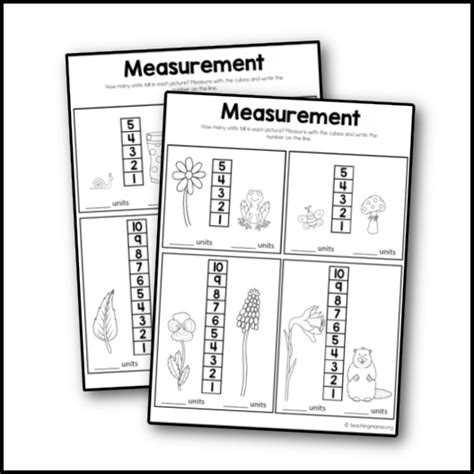 Image result for Measuring Objects