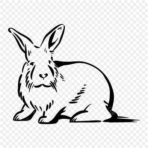Black And White Rabbit Clipart