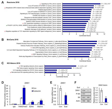 Transcriptomics-Based Repositioning of Natural Compound, Eudesmin, as a ...