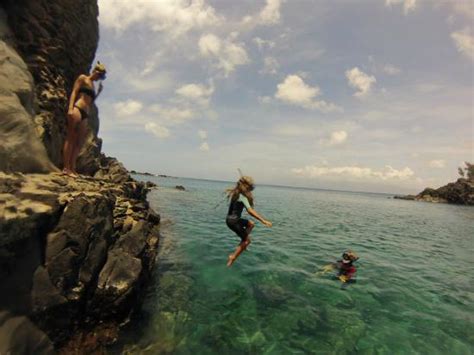 Shoreline Snorkel (Lahaina) - 2022 What to Know Before You Go (with ...