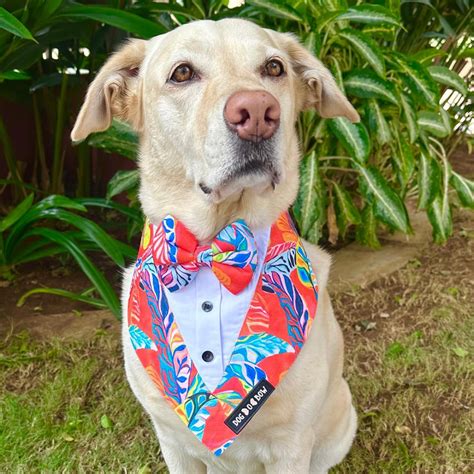 Buy Dogobow Hawaii Print Tuxedo Bandana for Dogs (Red) online at ...