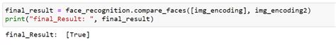 How to Extract Individual Faces From OpenCV Python 的图像结果