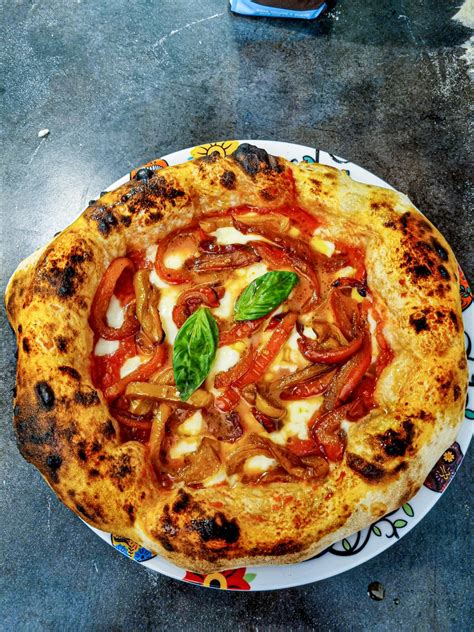 Contemporary Neapolitan margherita pizza with pepperoni in my electric ...