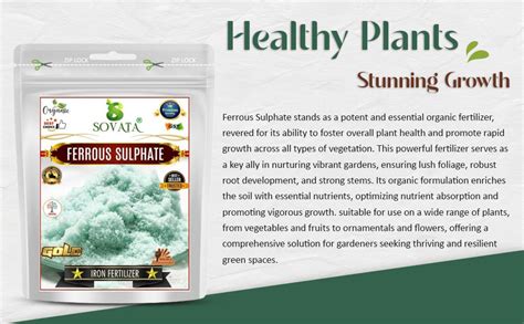 Sovata® Ferrous Sulphate, Powerful Essentail Organic Fertilizer for ...