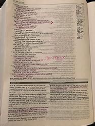 NLT Parallel Study Bible 的图像结果