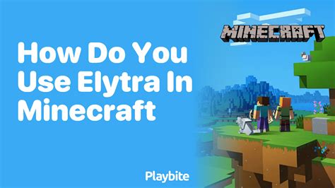 Image result for How to Use the Elytra Java Easy Way