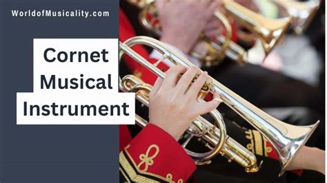 Image result for Cornet Musical Instrument