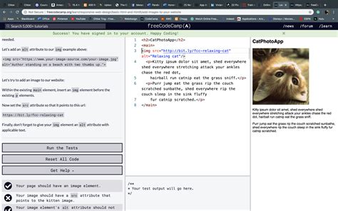 Image result for Freecodecamp HTML