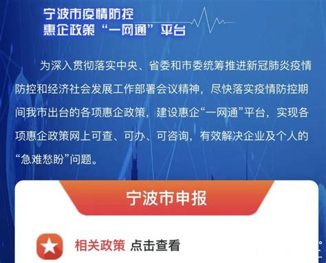宁波惠企政策补贴办理指南（办理入口+流程）- 宁波本地宝
