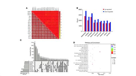 Heat Map of Transcriptome Analysis of Pathogen Infection 的图像结果