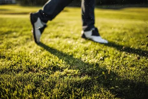 Golfing 的图像结果