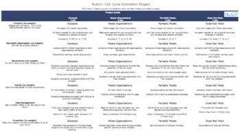 Image result for Cell Cycle Animation