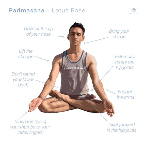 How to do Padmasana (Lotus Pose) - OmStars