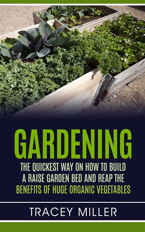 Gardening: The Quickest way on How to build a raise Garden Bed and reap ...