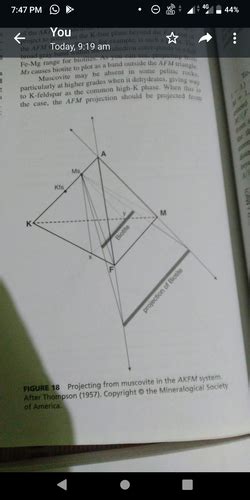 AKFM Diagram Flashcards | Quizlet