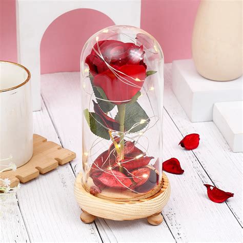 Buy Enchanted Red Rose Glass Dome Online | Archies Online