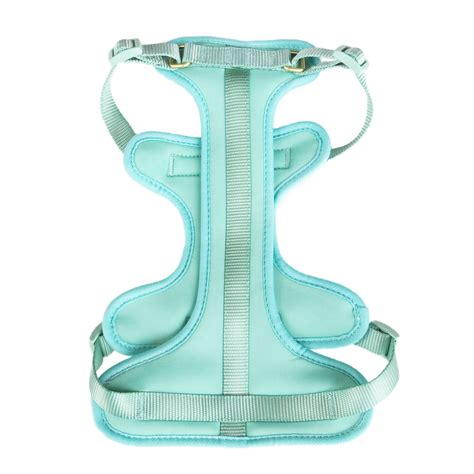 Vibrant Life, Dog Harnesses, Adjustable Neoprene Dog Walking Harness ...