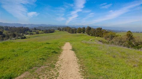 Pearson-Arastradero Preserve Tours - Book Now | Expedia