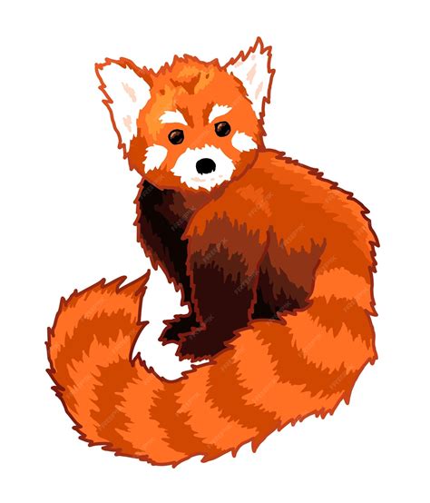 Premium Vector | Clip art with hand drawn cartoon red panda