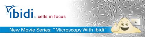 Image result for Phase Contrast Microscopy Applications