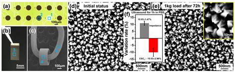 Nanocone-Array-Based Platinum-Iridium Oxide Neural Microelectrodes ...
