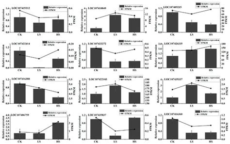 Transcriptome Analyses Reveal the Mechanism of Changes in the Sugar ...