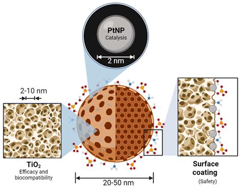 Catalytic Nanomedicine as a Therapeutic Approach to Brain Tumors: Main ...
