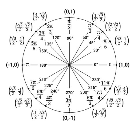 Mastering the Unit Circle: A Key to Understanding Trigonometry | Novo Learner