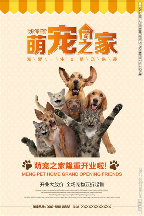 宠物店开业宣传单海报设计图__海报设计_广告设计_设计图库_昵图网nipic.com