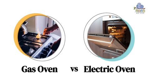 Gas Range Oven Vs Electric Oven at Ryan Fulton blog