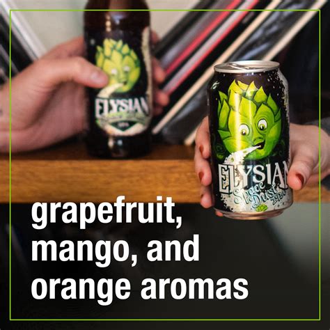 Elysian Brewing Company Elysian Space Dust IPA Beer - 6pk/12 fl oz ...