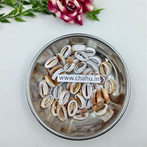 cowrie shell jewelry | Chahu