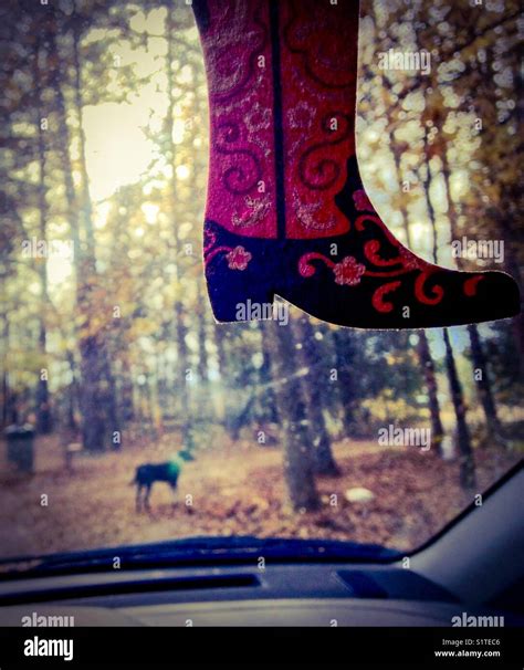 Image result for Windshield Boot