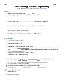 Virtual Lab Genetics 的图像结果