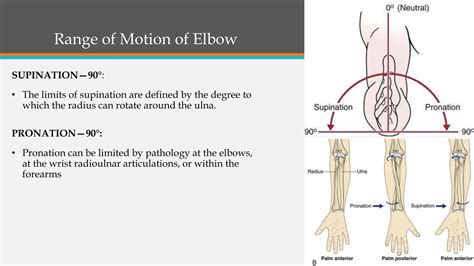 Range of Motion of Upper Limb.pptx