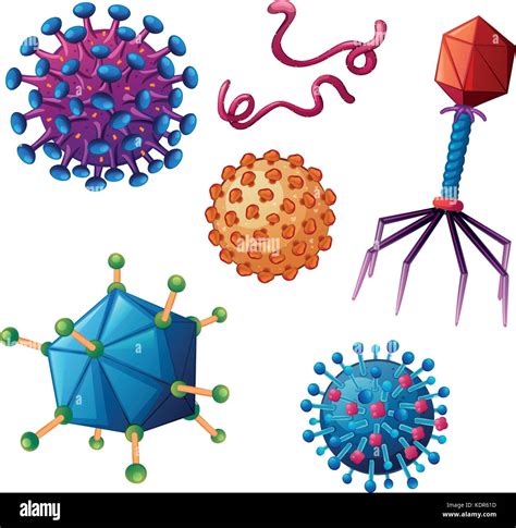 Different types of viruses on white background illustration Stock Vector Image & Art - Alamy