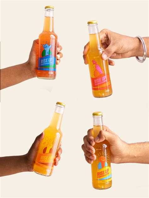 Sample Pack (4 pack - mix flavours) – Rise Up Kombucha