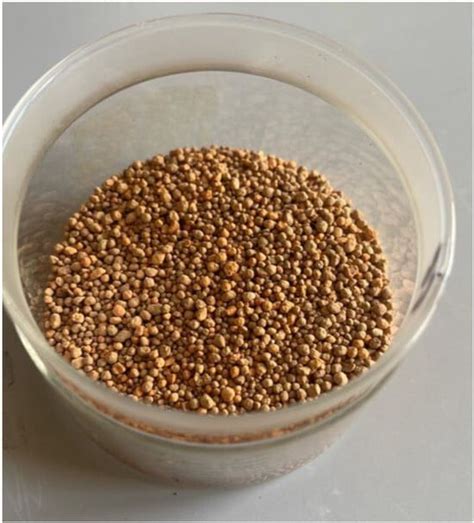 Comparative Analysis of Sewage Sludge Characteristics After Natural ...