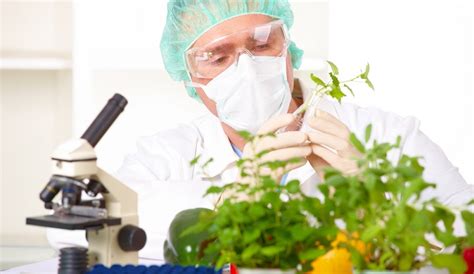 Résultat d’images pour gentechnik 