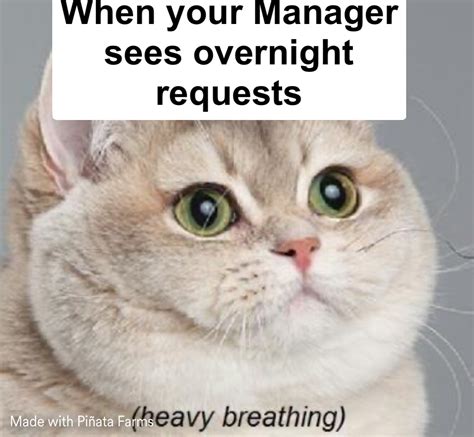 Heavy Breathing Cat Memes - Piñata Farms - The best meme generator and ...