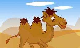 小骆驼与小棕马 - 益智故事 - 故事365