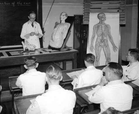 NURSING WORK