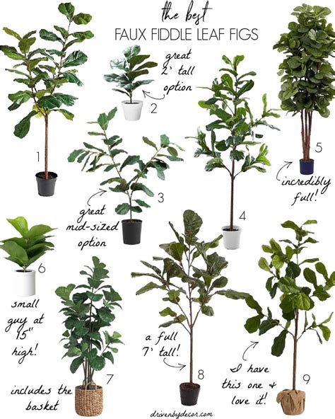 The Best Faux Fiddle Leaf Fig Trees! - Driven by Decor