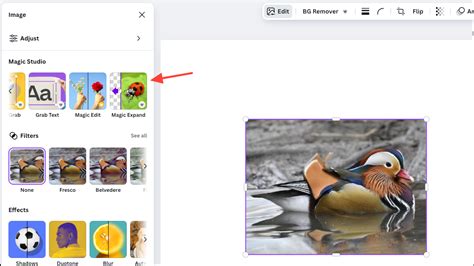 Image result for How to Expand an Image in Computer