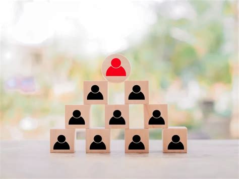 Ownership 的图像结果