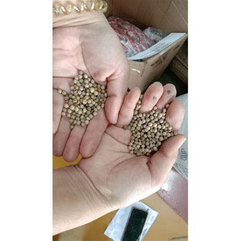 Jual Lada ORI / MERICA BUTIR KEMASAN 1KG - Kota Surabaya - BIG DAY ...