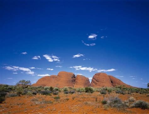 Image result for Normal CV Example