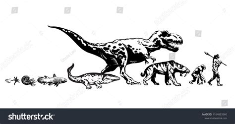 Evolution Timeline Chart 的图像结果